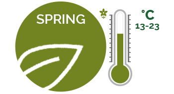 spring-350x190-2